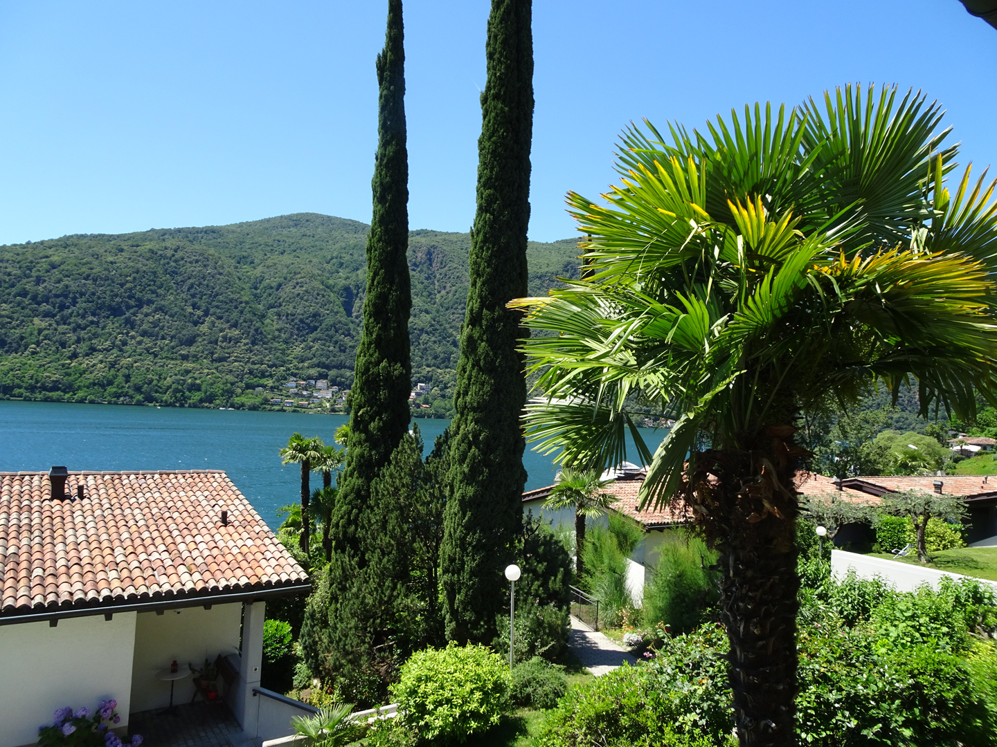 Tessin.ch: Tessin - Charmantes Studio in Morcote in 6922 Morcote 